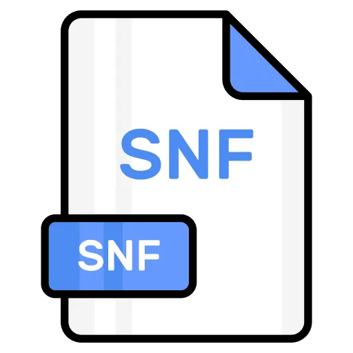 snf-billing-services